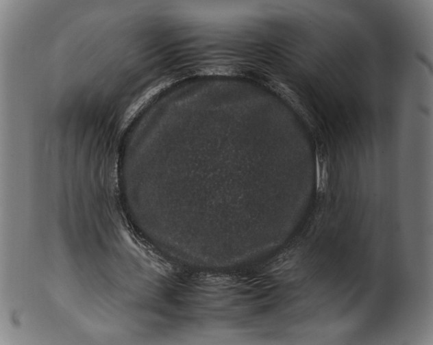 X0000099940531200806061520
