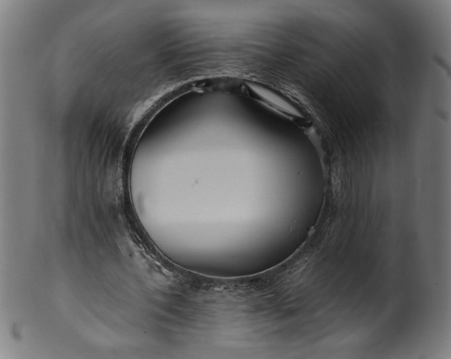 X0000099940532200806061520