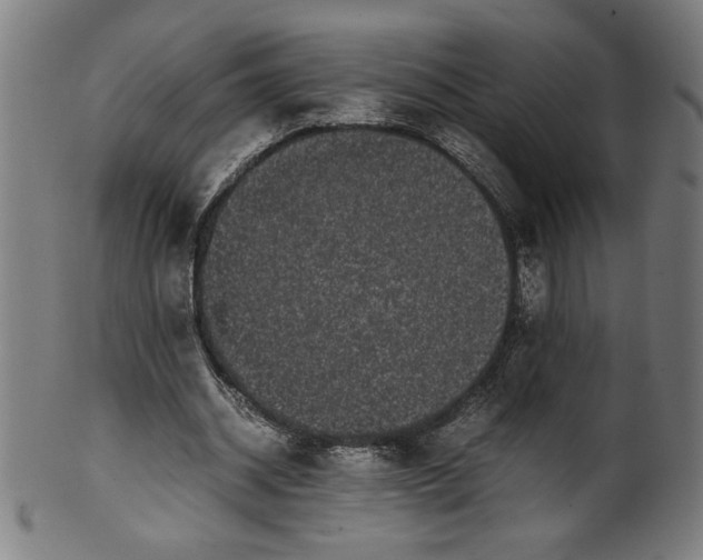 X0000099940534200806061520