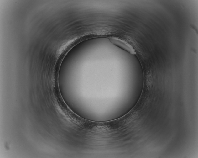 X0000099940536200806061520