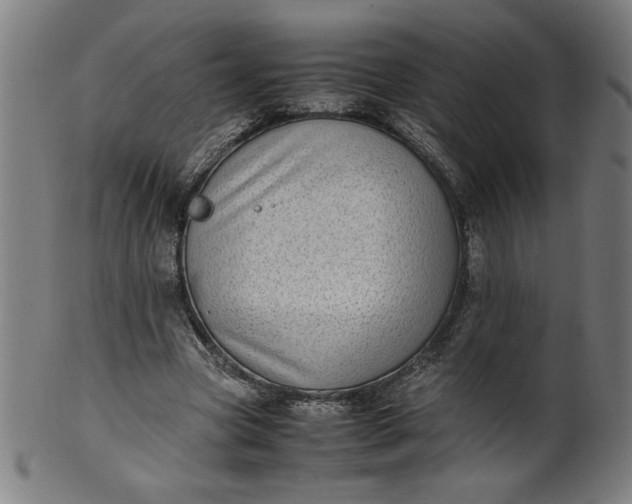 X0000099940537200806061520