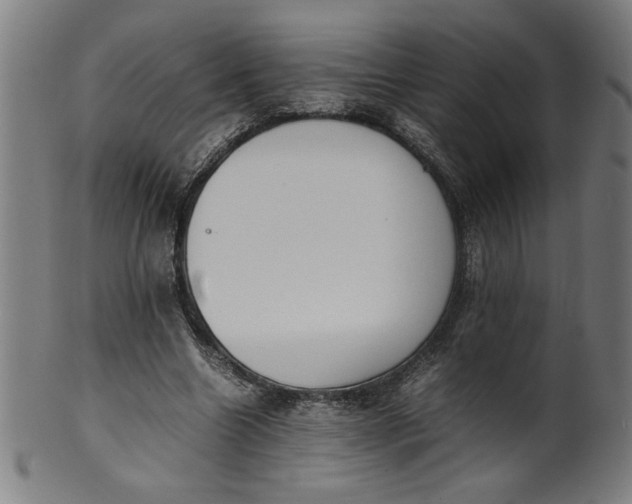 X0000099940538200806061520