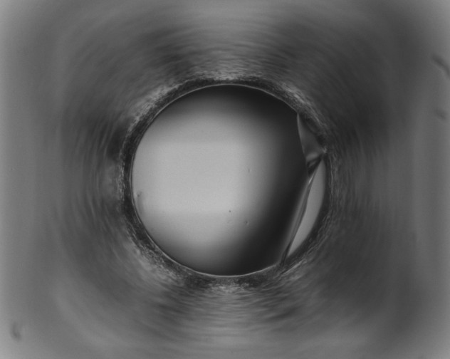 X0000099940540200806061520