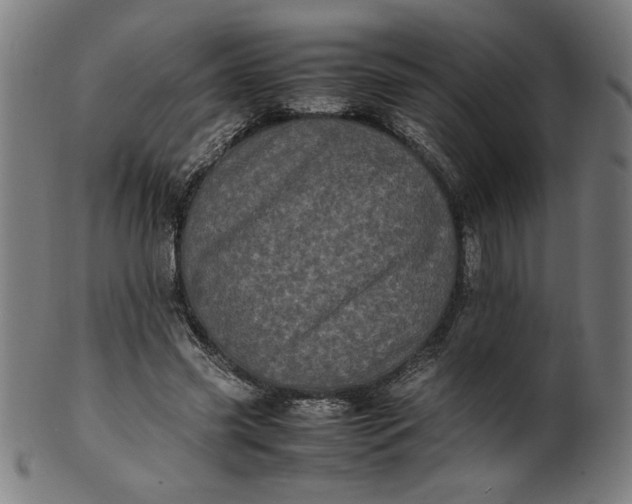X0000099940541200806061520