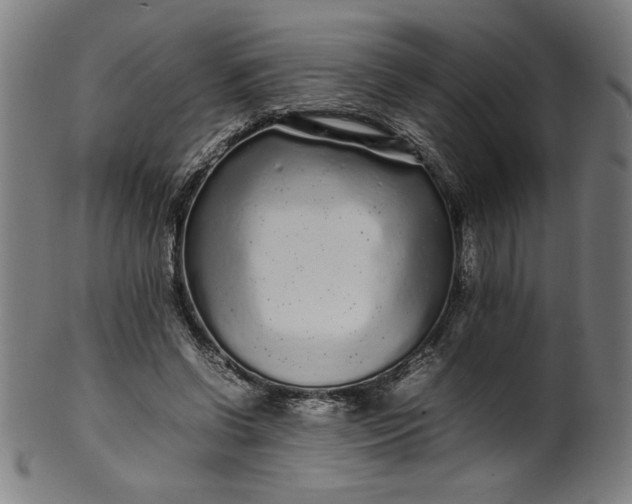 X0000099940542200806061520