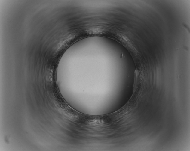 X0000099940543200806061521