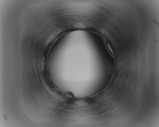 X0000099940544200806061521