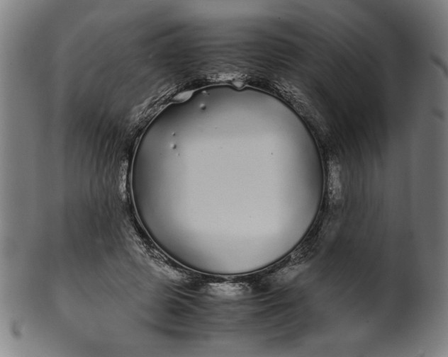 X0000099940545200806061521