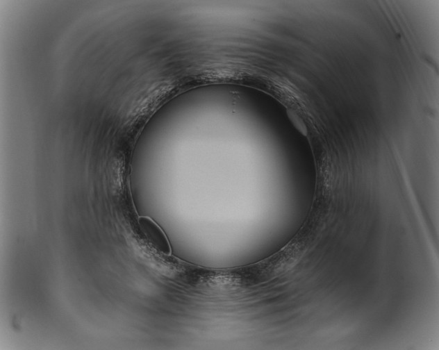 X0000099940546200806061521