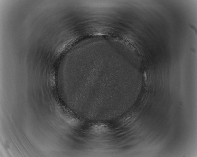 X0000099940547200806061521