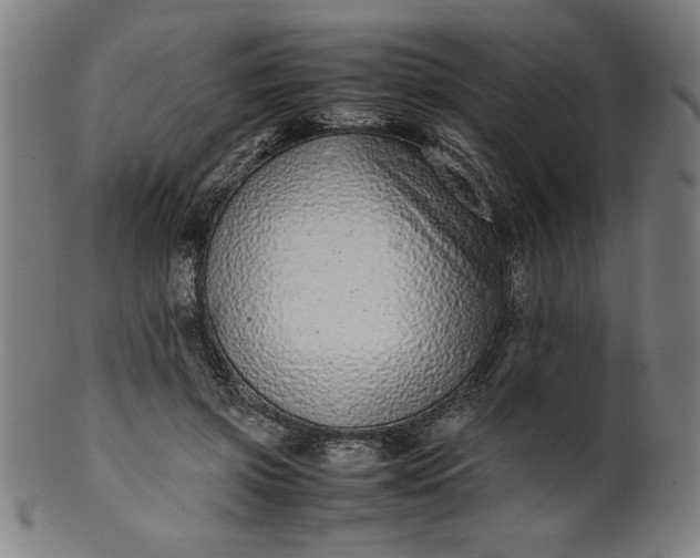 X0000099940549200806061521
