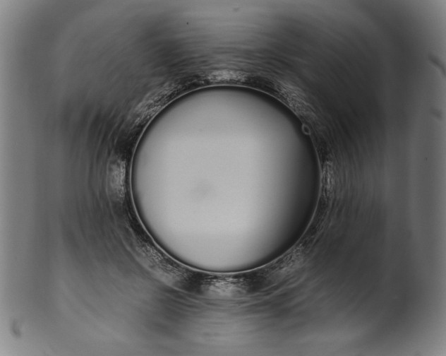 X0000099940550200806061521
