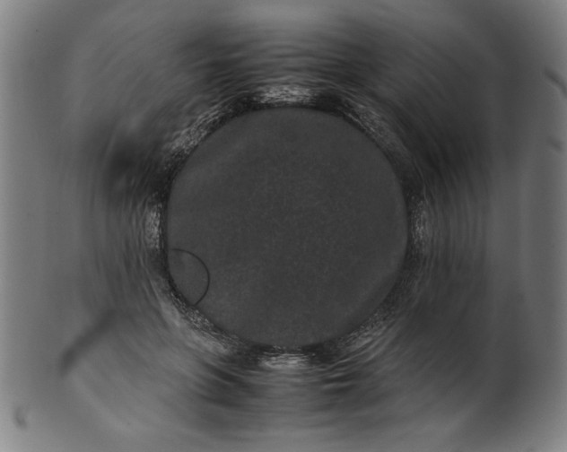 X0000099940551200806061521