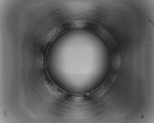 X0000099940552200806061521