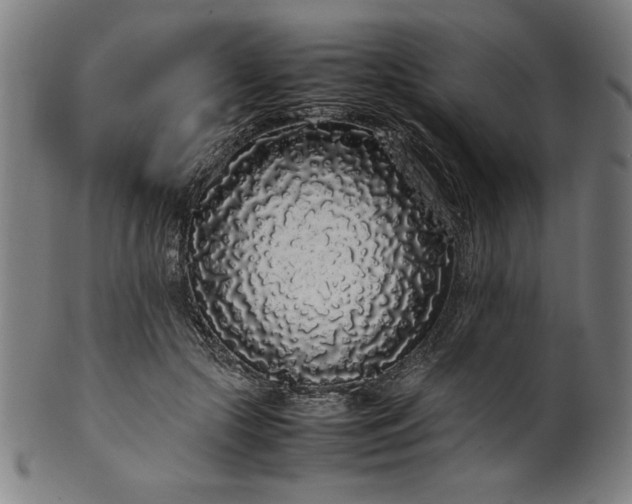 X0000099940553200806061521