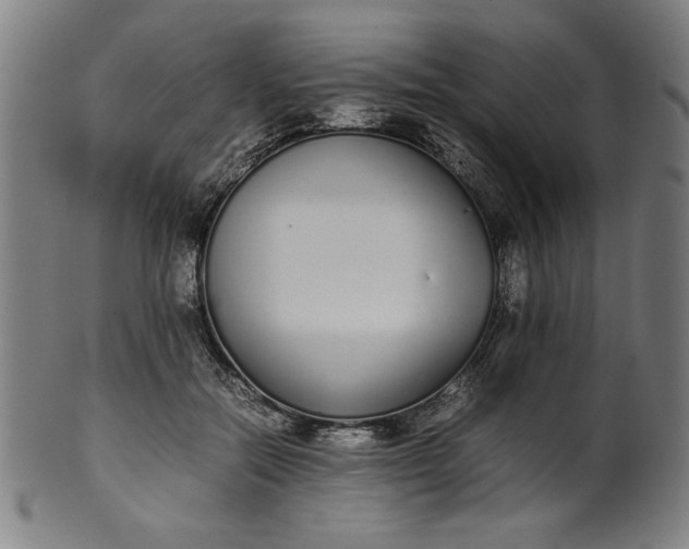 X0000099940554200806061521