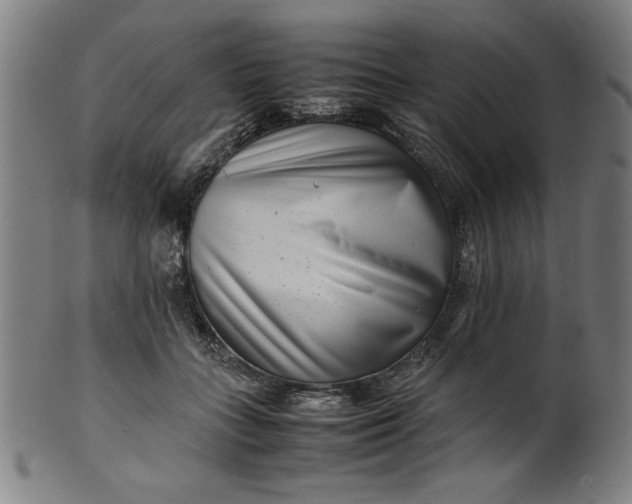 X0000099940555200806061521