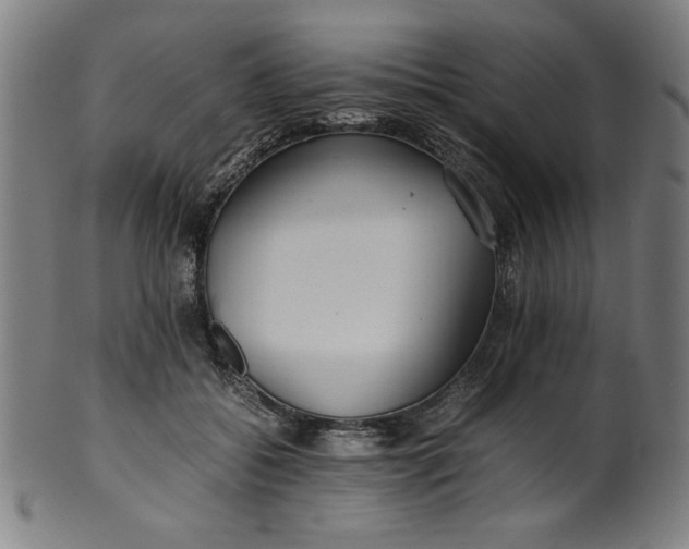 X0000099940556200806061521