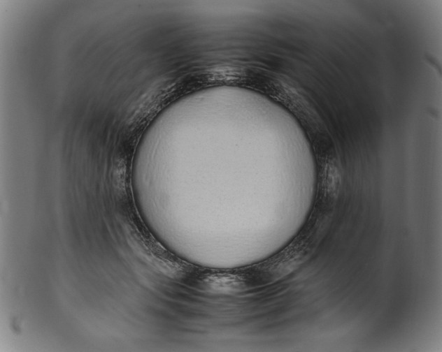 X0000099940557200806061521