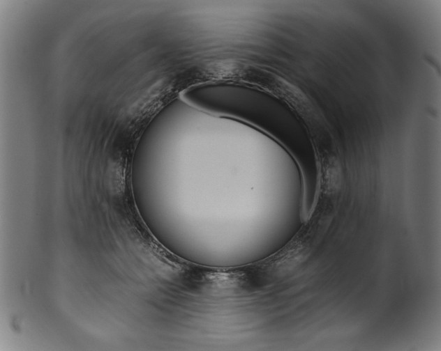 X0000099940558200806061521