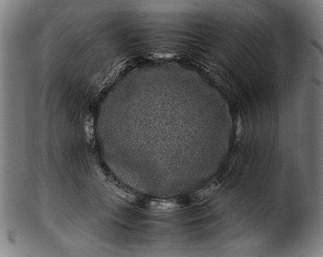 X0000099940559200806061521