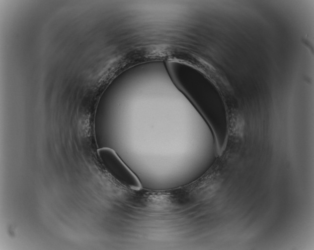 X0000099940560200806061521