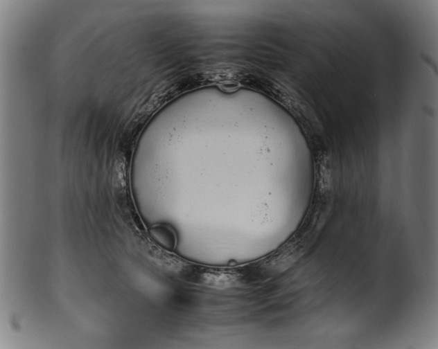 X0000099940561200806061521