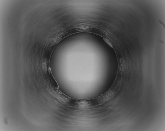 X0000099940562200806061521