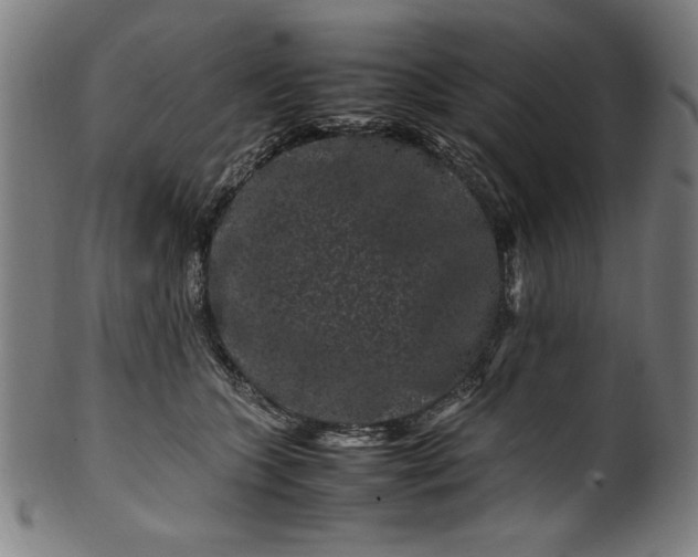 X0000099940563200806061521