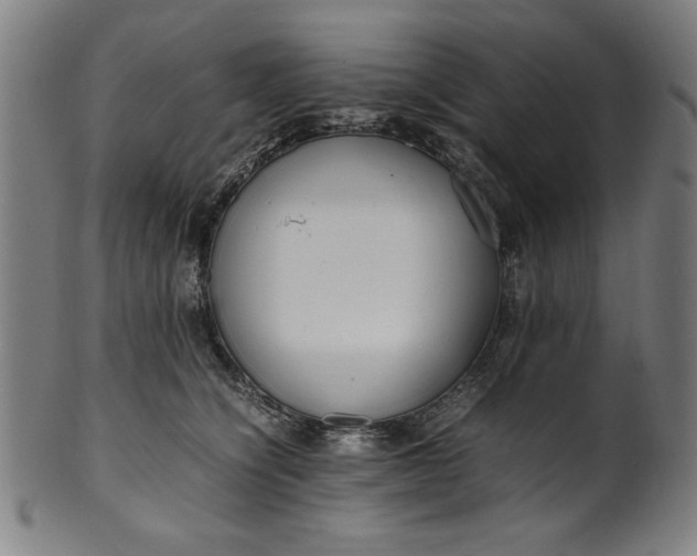 X0000099940564200806061521