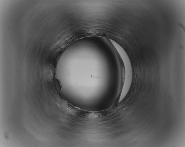 X0000099940566200806061521
