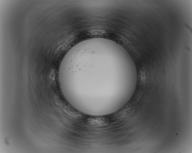X0000099940567200806061521