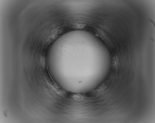 X0000099940568200806061521