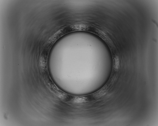 X0000099940569200806061521