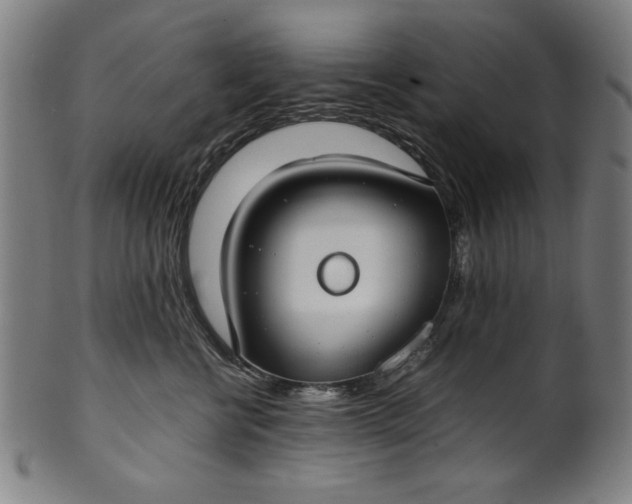 X0000099940570200806061521