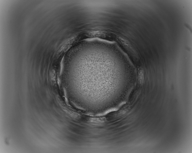 X0000099940571200806061521