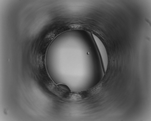 X0000099940572200806061521