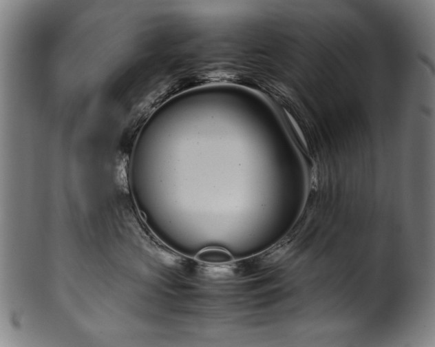 X0000099940573200806061521