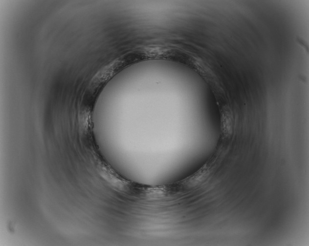 X0000099940574200806061521