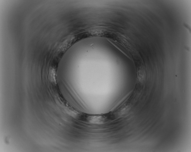 X0000099940575200806061521