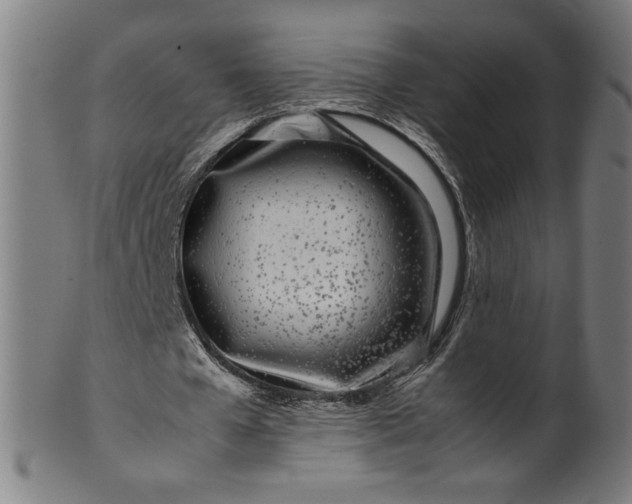 X0000099940577200806061520