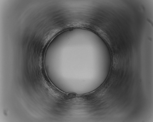 X0000099940578200806061520