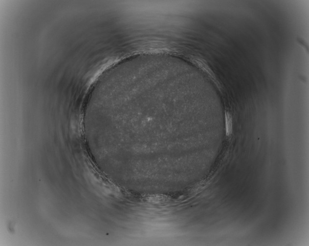 X0000099940579200806061520