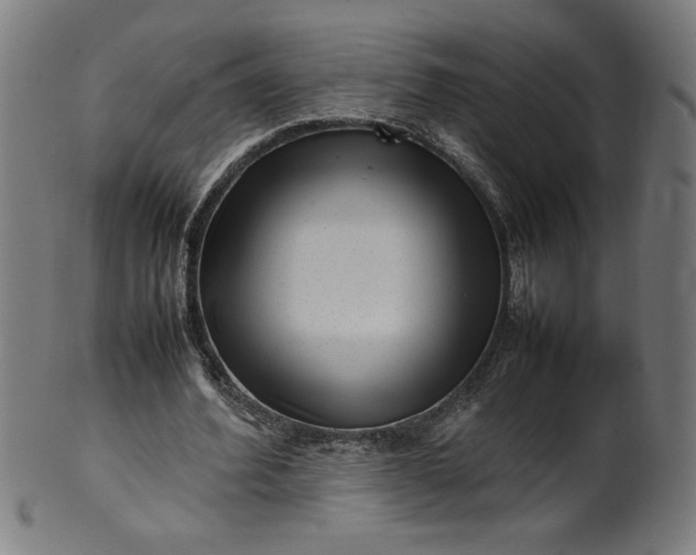 X0000099940580200806061520