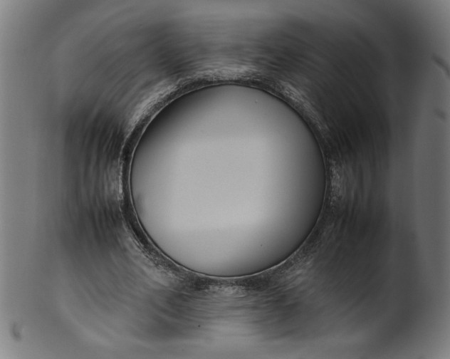 X0000099940582200806061520