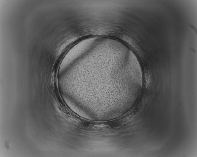 X0000099940583200806061520
