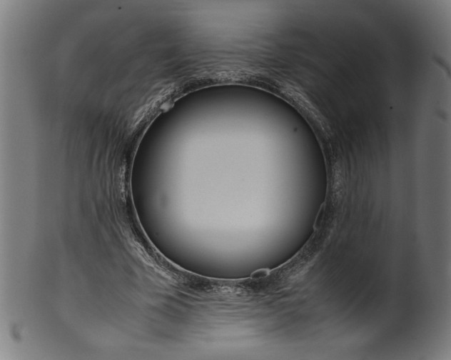 X0000099940585200806061520