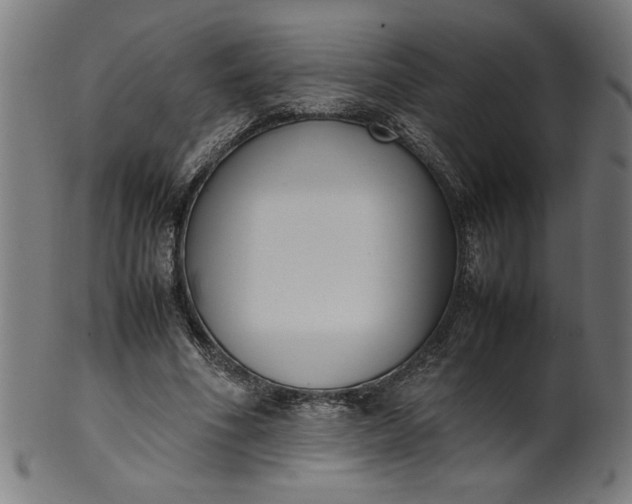 X0000099940586200806061520
