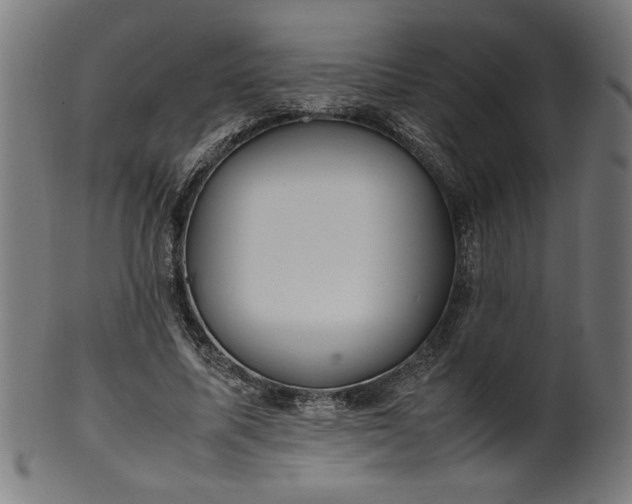 X0000099940587200806061520