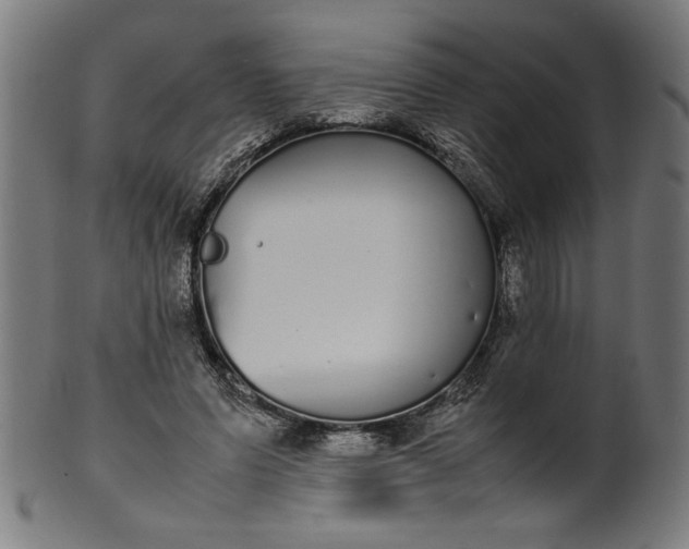 X0000099940591200806061520